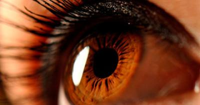 30 ������� �������� ���� ����� ����