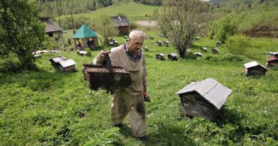 ����������� �������� ���������� ����