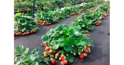 ���� ��������