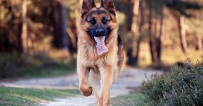 �������� �������: ������� ������.