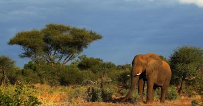 ���������� ������ ������