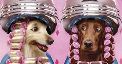 ����� ��� ��������