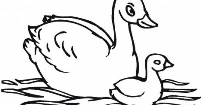 ������ ������� ���������