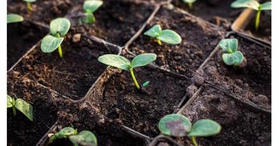 ������� �������