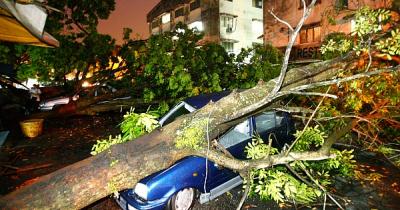 Public Liability Insurance