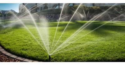 �������������� �����