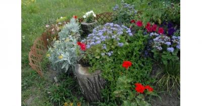 ������ ����