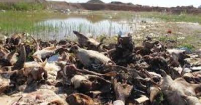 ������� ���������� � ���������� ��������