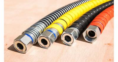 ������������ �����